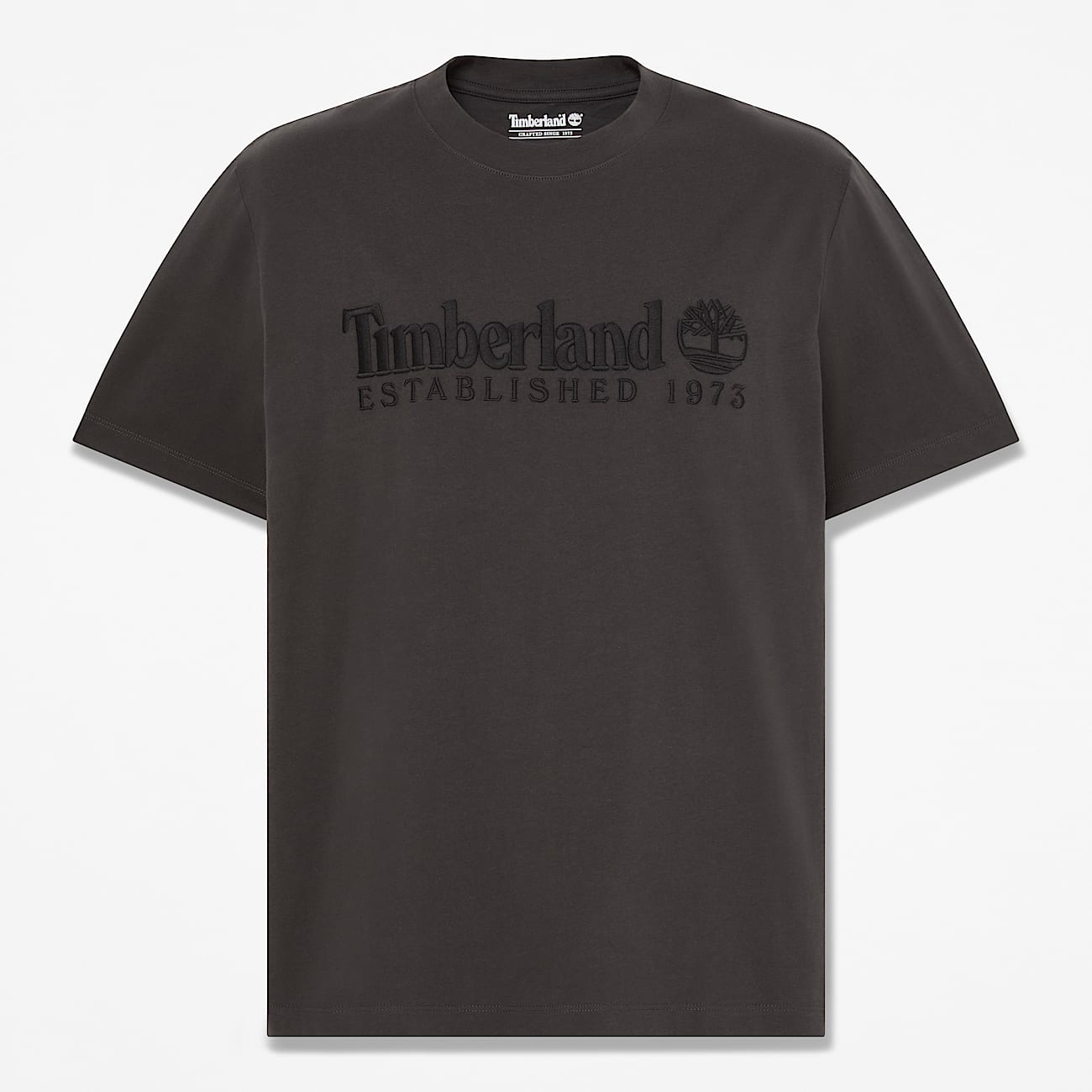 Men's Established 1973 Embroidered Short-Sleeve T-Shirt