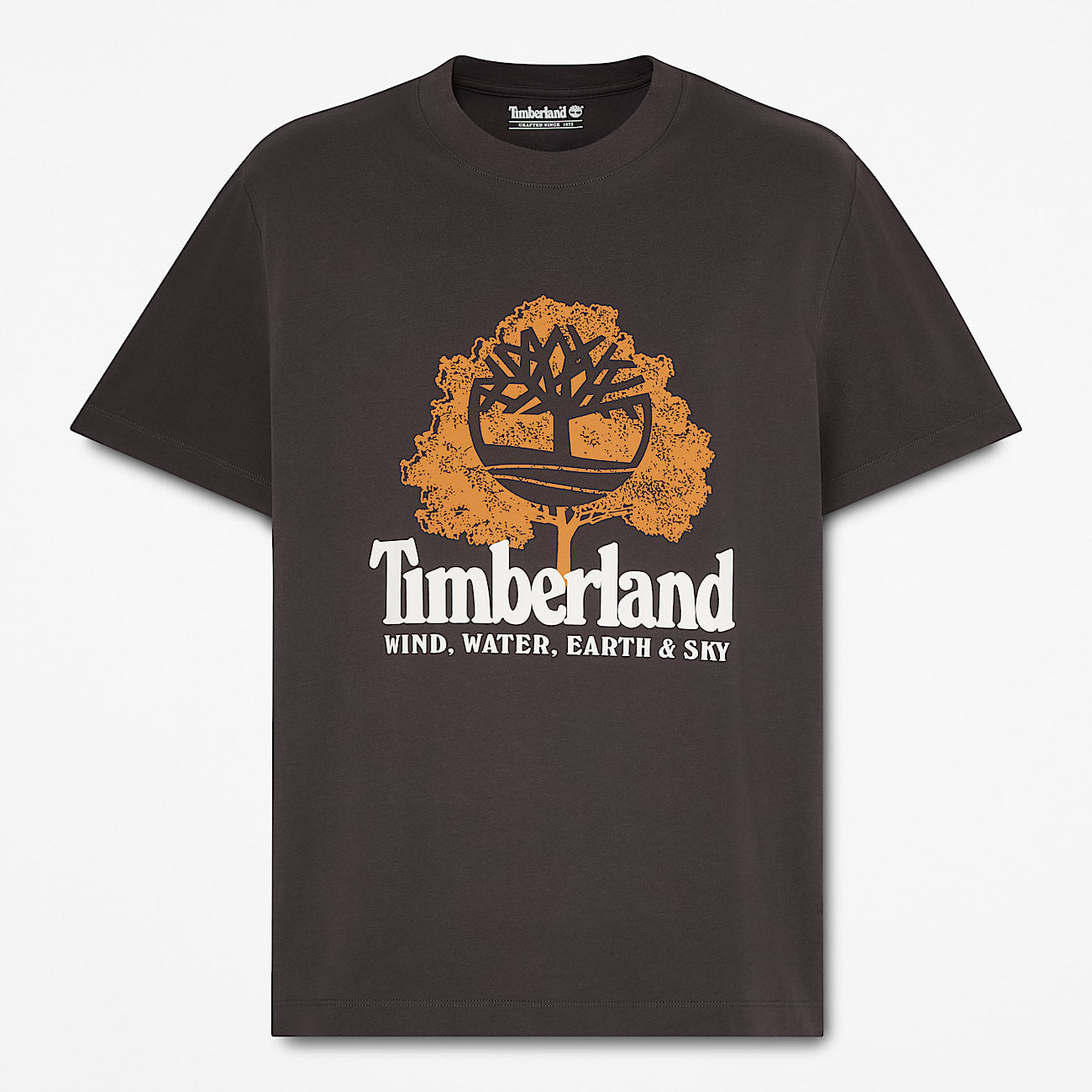 Men's Elements Graphic T-Shirt