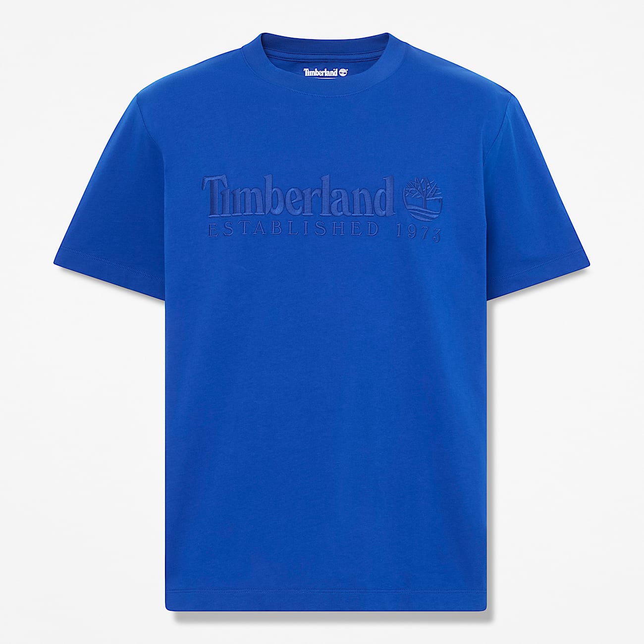 Men's Established 1973 Embroidered Short-Sleeve T-Shirt